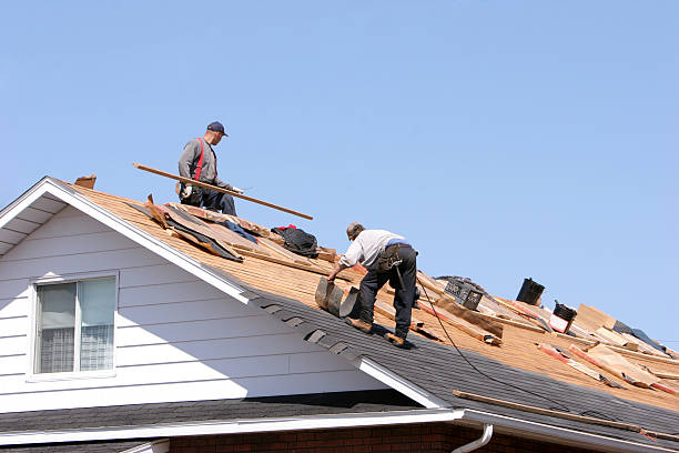 Best Roof Maintenance and Cleaning  in Ridgemark, CA